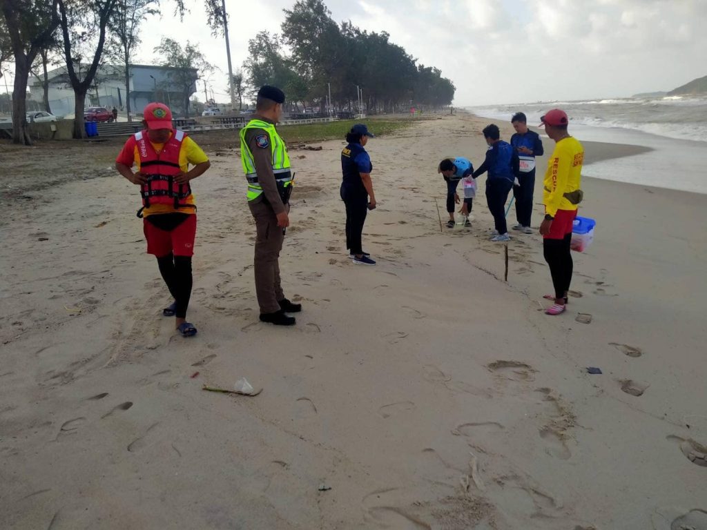 แมงกะพรุ่น หาดสมิหลา